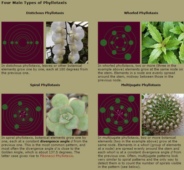 image-20210617103114265