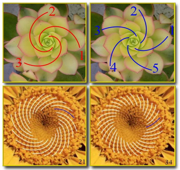 image-20210617103550748